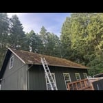 Roof Replacement
