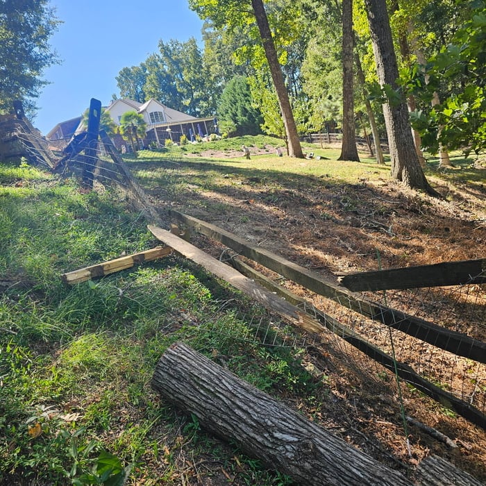 Fence Restoration