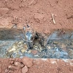 close-up of solids that have floated into the drainfield thru the rotted outlet baffle