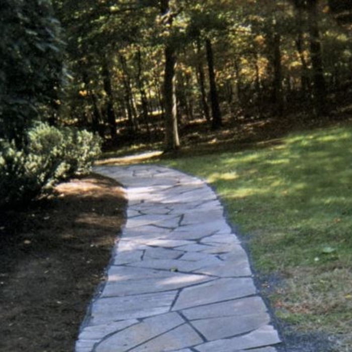 Paver 7