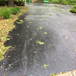 Asphalt Resurfacing