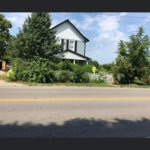 Before - Tree Trimming and Bush Removal