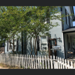 After - Tree Trimming and Bush Removal