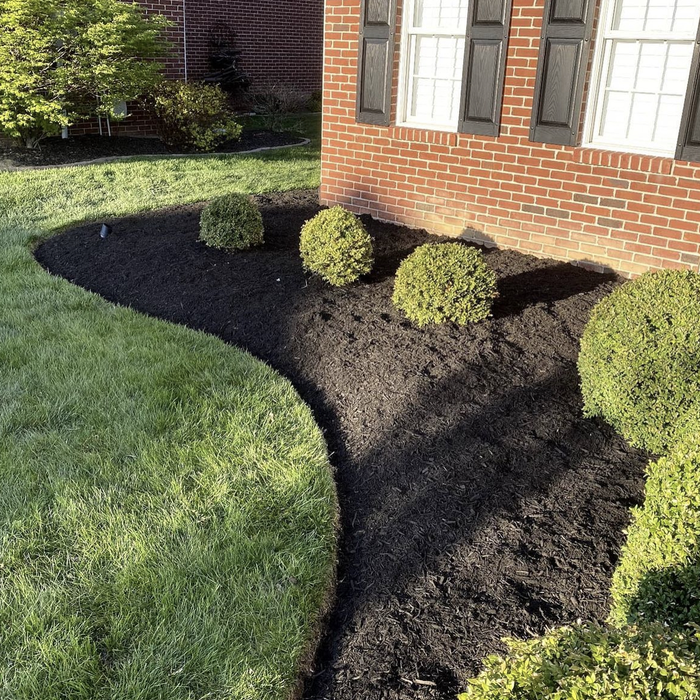 Mulch Installation
