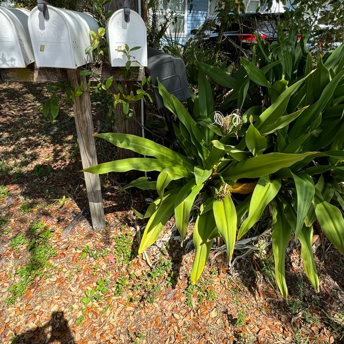 AA Home Services — photo 33