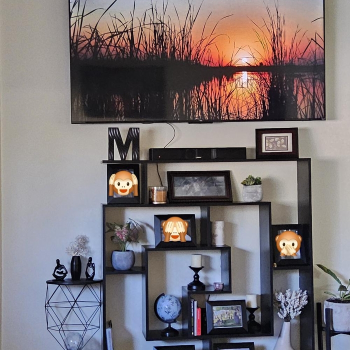 TV Mount