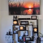 TV Mount