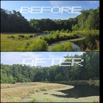 Pond reclaim