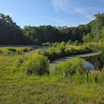 Pond reclaim