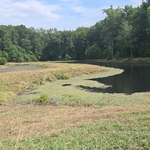 Pond reclaim