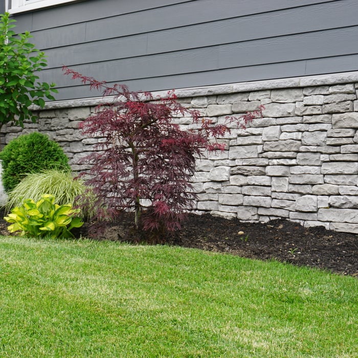 Full Home Renovation