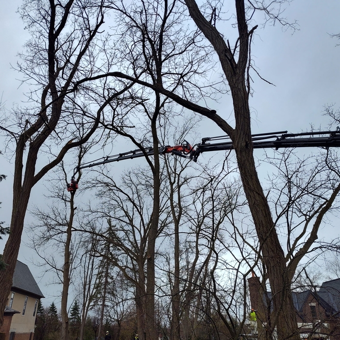 Additional Photos