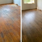 This job had bad pet stains that needed some extra attention.