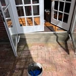 Mold Testing & Remediation Project