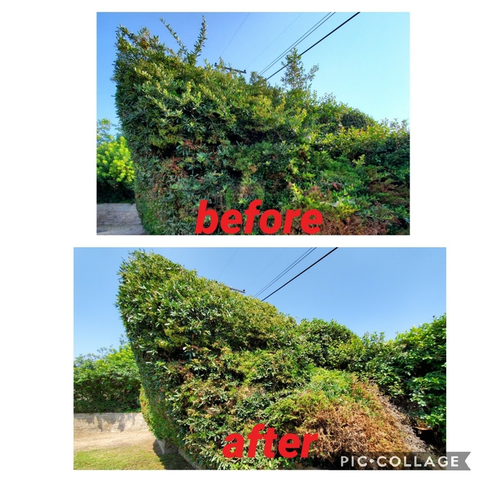 Additional Photos