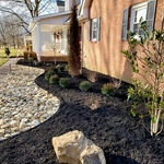Front landscape.