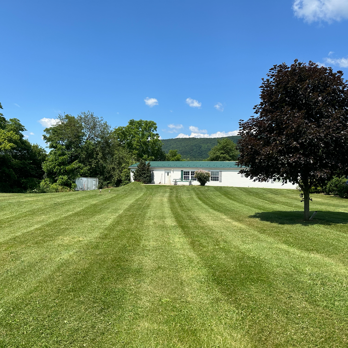 Additional Photos