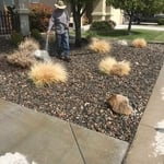 Landscaping Project