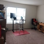 Window and carpet cleaning