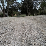 Excavating Project