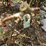 Backflow preventer