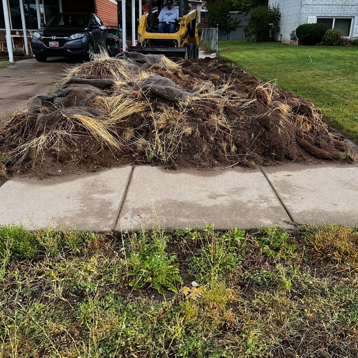 Dirt load