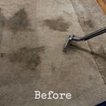 Deeply Embedded Pet Stains