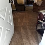 Carpet Cleaning Project