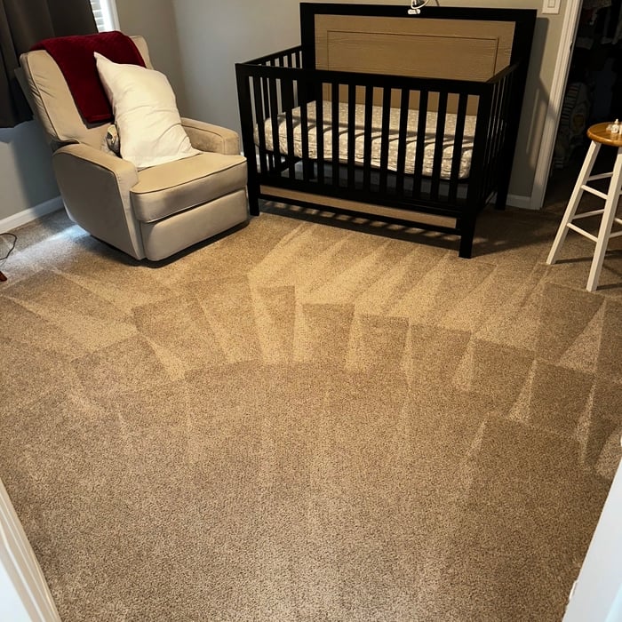 Carpet Cleaning Project