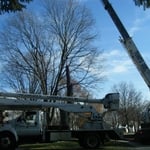 Crane Services