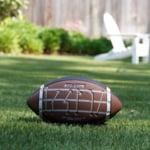 Artificial Grass creates a perfect backyard play space in this Northern Virginia Home.
