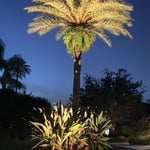Prestancia Subdivision Lighting