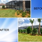 Before and After