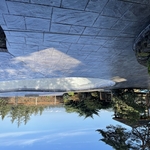 Driveways - Concrete Project