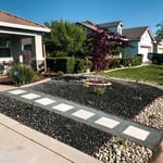 Drought Tolerant Yards