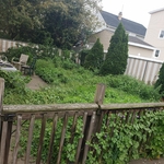 Lawn and Yard Work Project