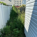 Lawn and Yard Work Project