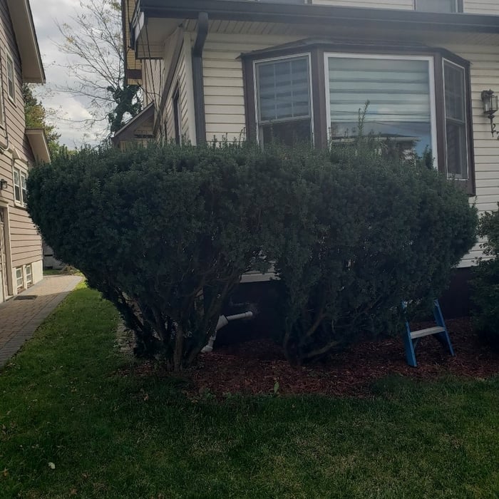 Lawn and Yard Work Project