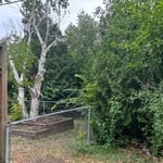 Land clearing and tree removal