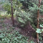Land clearing and tree removal