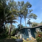 Tree Service Project