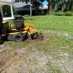 Stump Grinding
