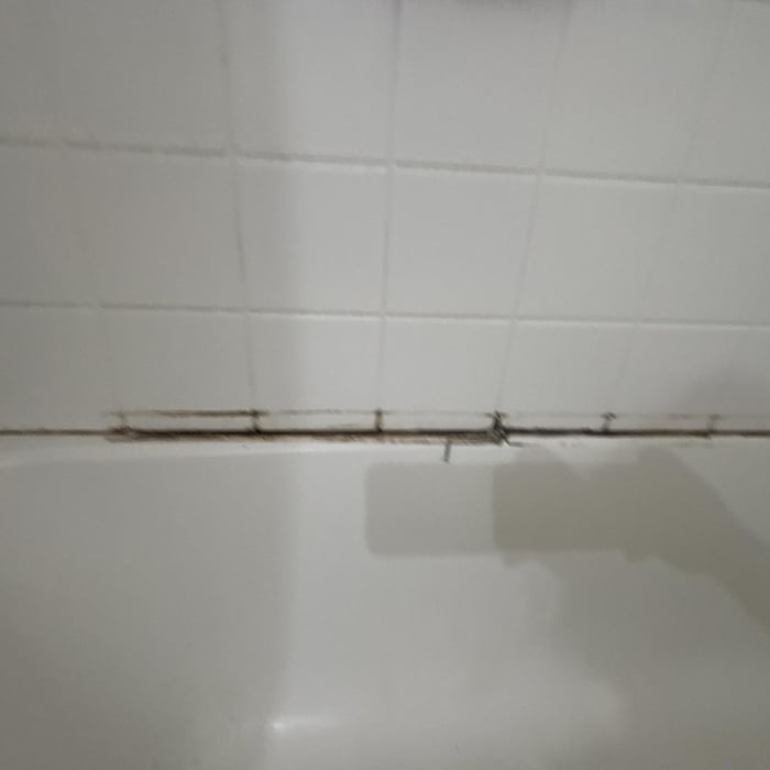 Mold in shower