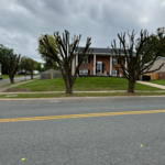 We can help you give your house a better look. You can contact us to carry out your tree project. Call us and schedule your next appointment with Coreas Tree Services LLC.