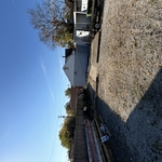 Tree Service Project