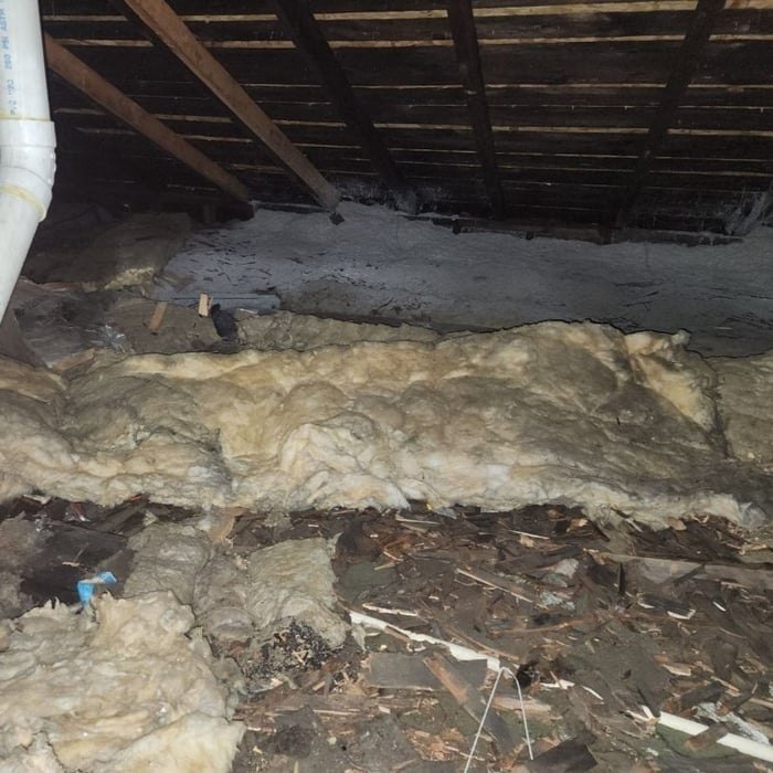 Attic Insulation.