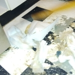 House Cleaning Project