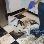 House Cleaning Project