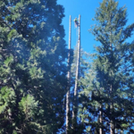 Technical removal over home
