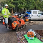 Stump Grinding